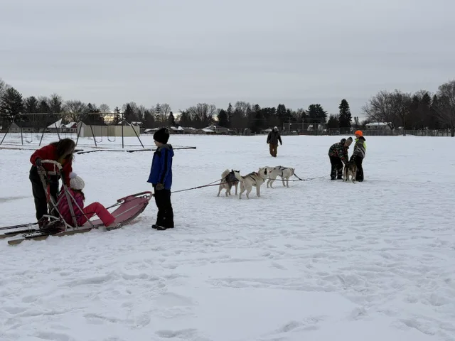 Students meeting sled dogs during a winter school activity